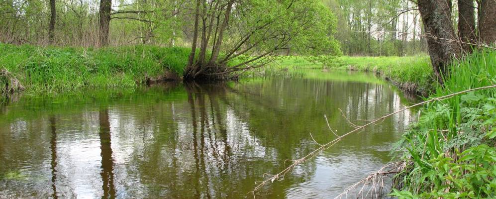 
            Фотография Сергеевки