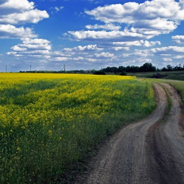 Надеждовка