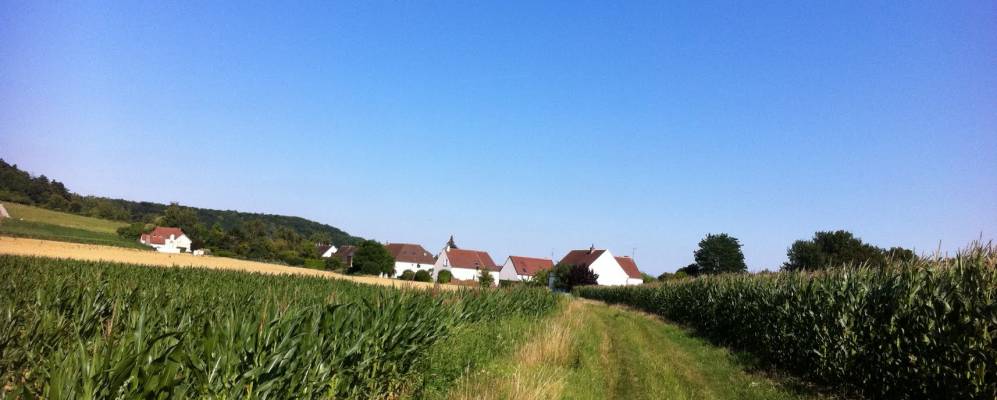 Фотография Jonquières