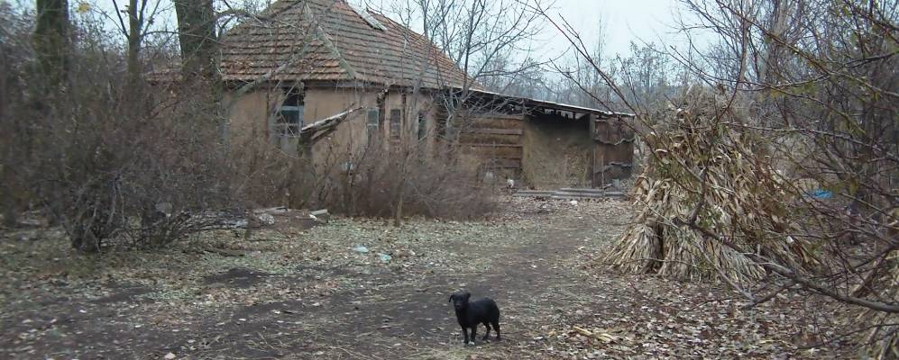 
            Фотография Петрикова