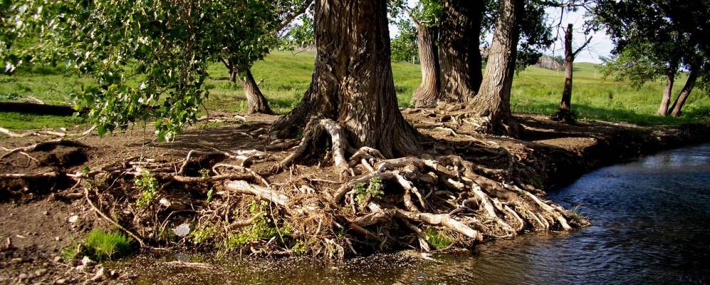 
            Фотография Харьковского