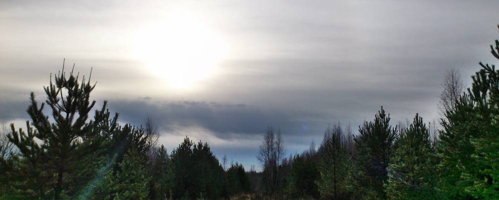 
            Фотография Позагорта