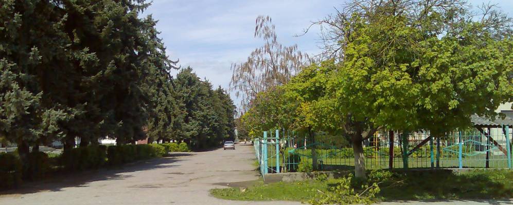 
            Фотография Котляревской