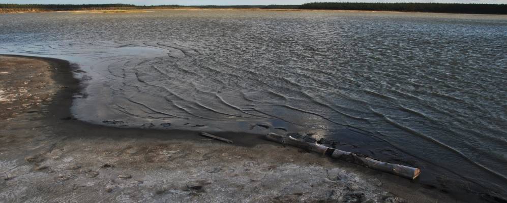 
            Фотография Елечея