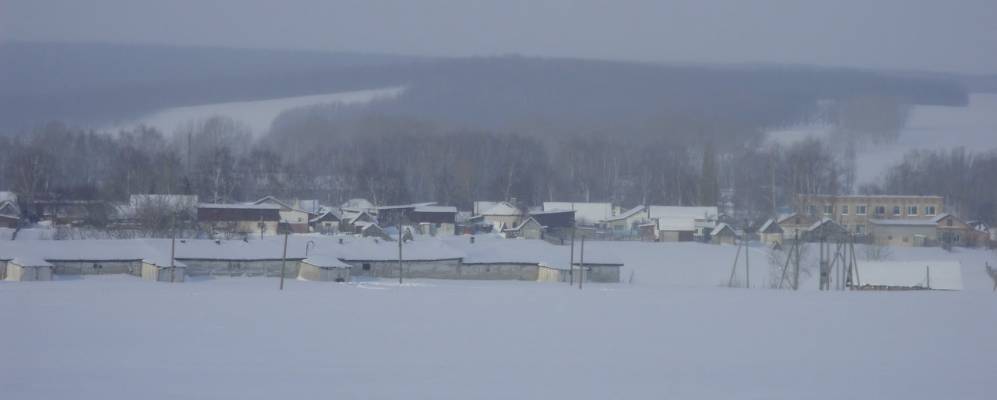 
            Фотография Журалевки