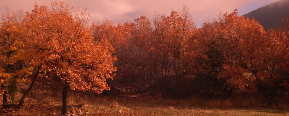 
            Фотография Ангистрон