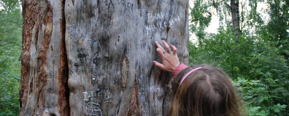 
            Фотография Юркино