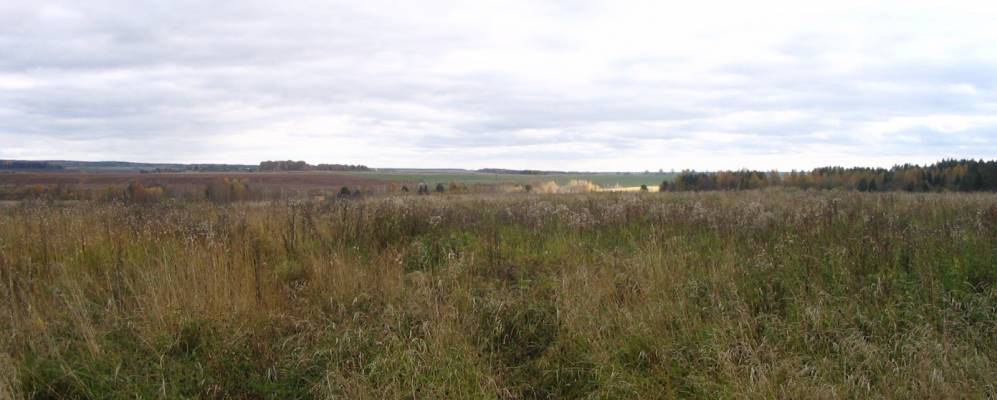 
            Фотография Малого Дора