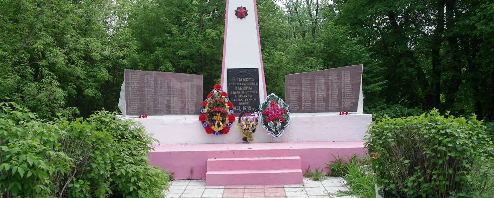 
            Фотография Зарудни