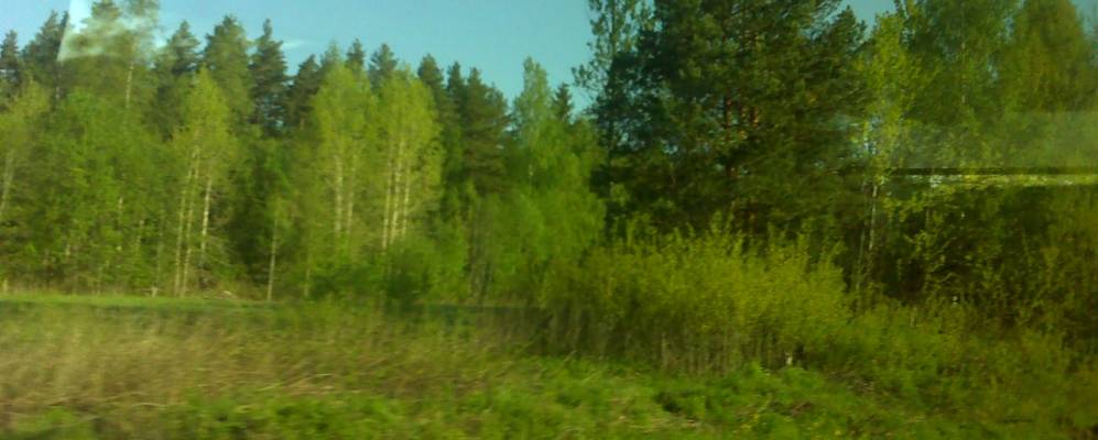 
            Фотография Сосновой Горки