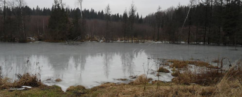 Фотография Хорошилово