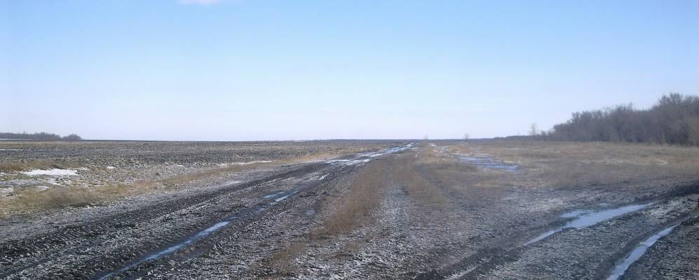 
            Фотография Страховского