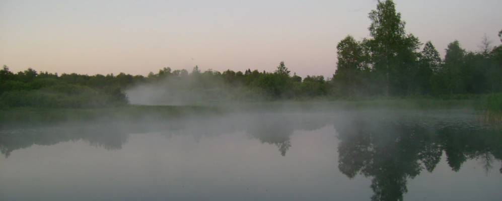 
            Фотография Гаврилово