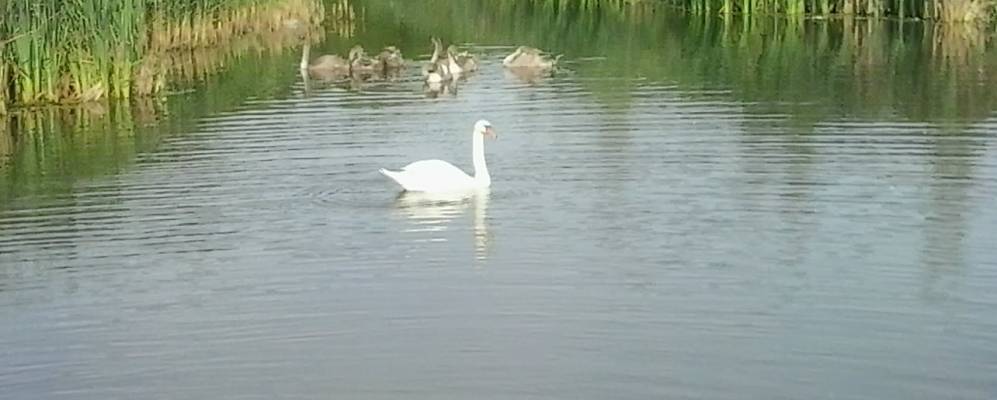 
            Фотография деревни Степужичи