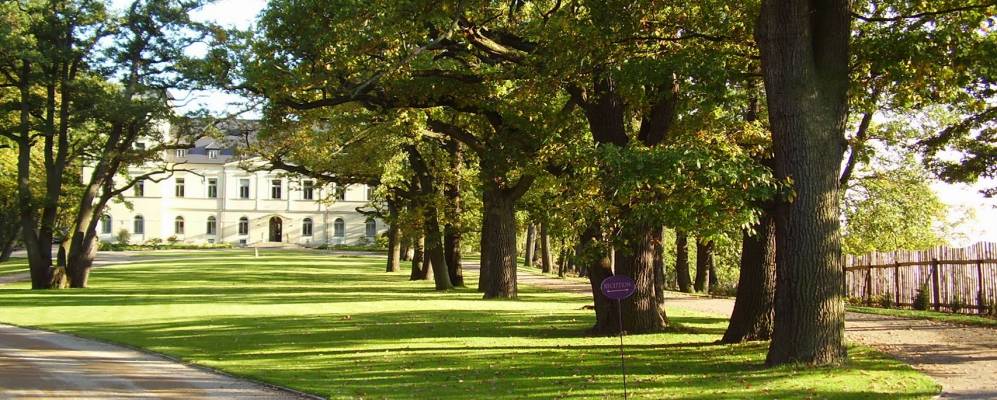 
            Фотография Мцели