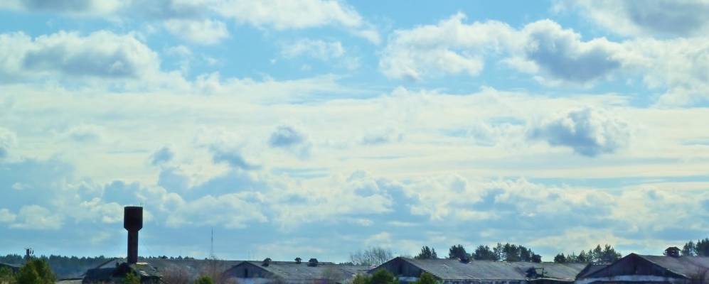 
            Фотография Вандышево