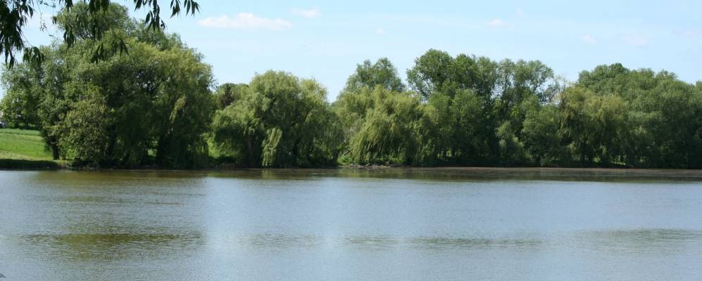 
            Фотография Станиславчика