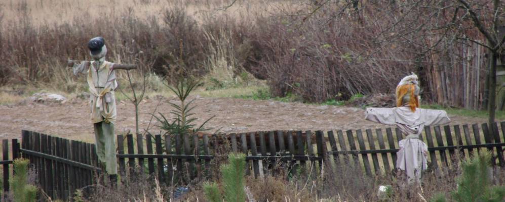 
            Фотография Ломейково