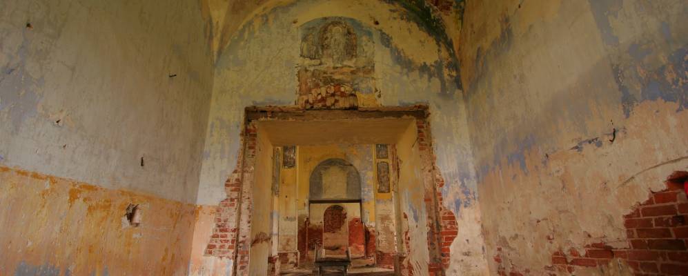 
            Фотография Бели