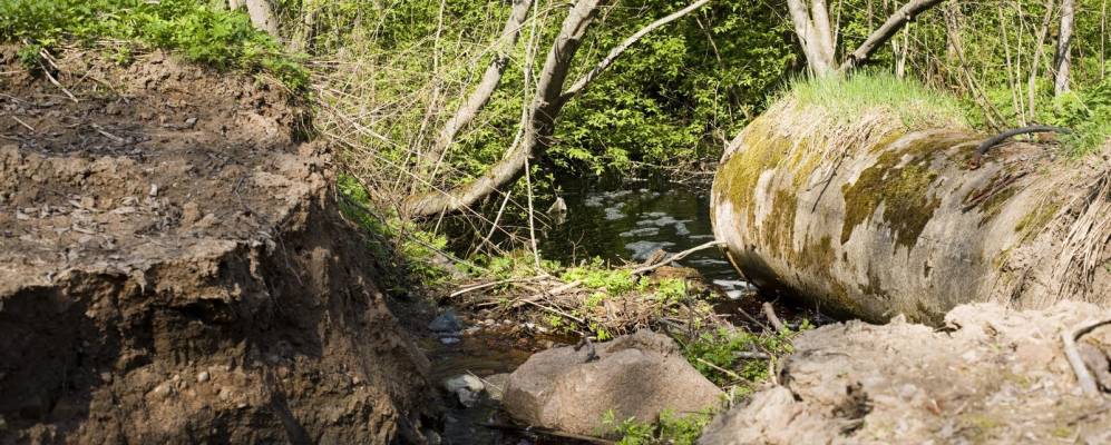 
            Фотография Курово