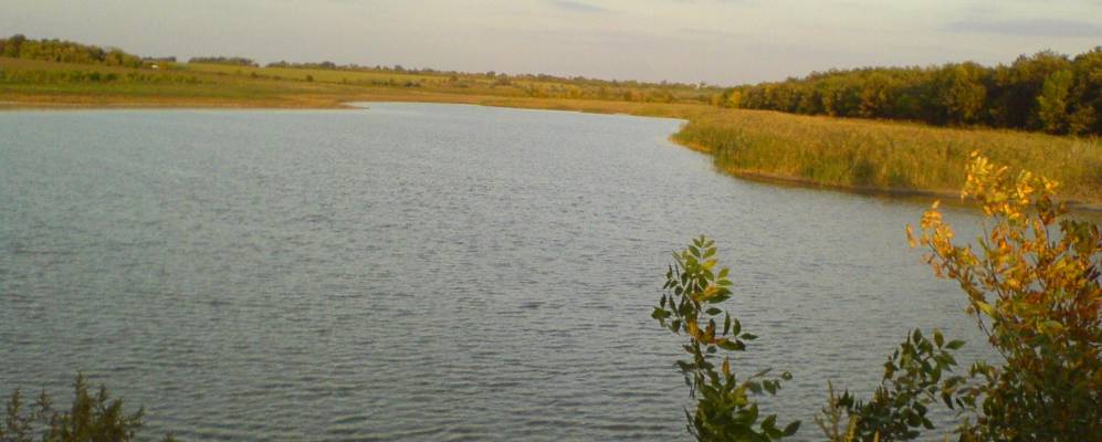 
            Фотография Васильковского