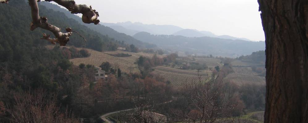 
            Фотография Жигондас