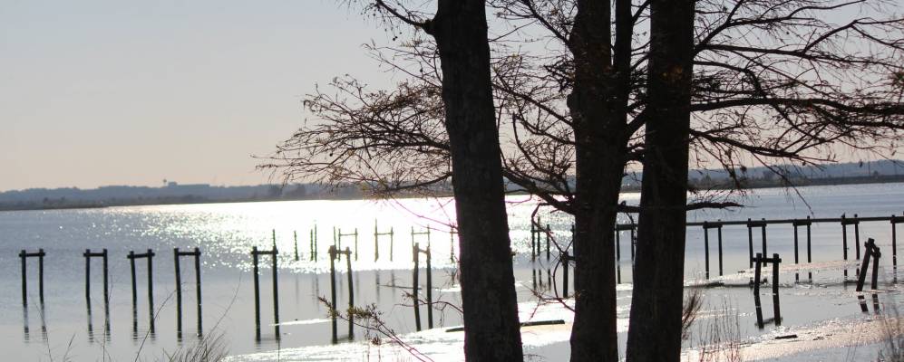 
            Фотография Пейса