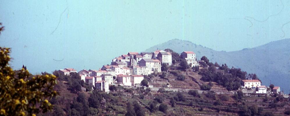 
            Фотография Ривентоза