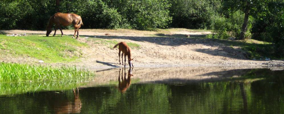 
            Фотография Чистопрудного