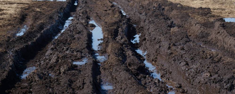 
            Фотография Курбаная