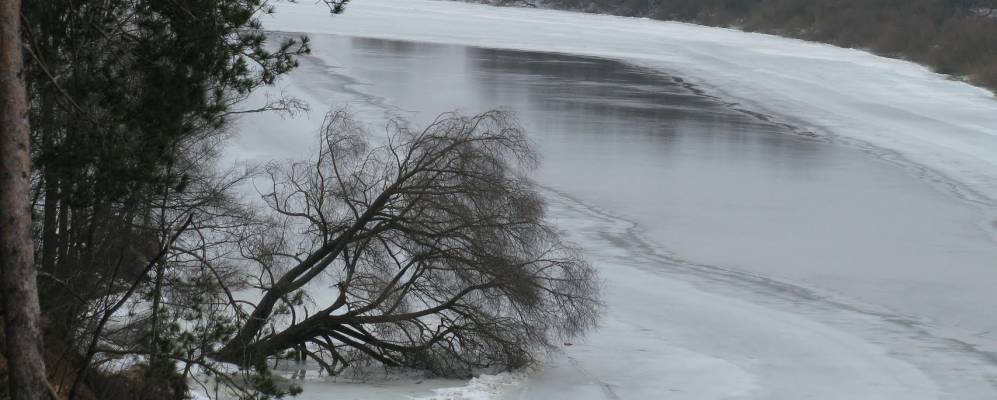 
            Фотография Приднепровского