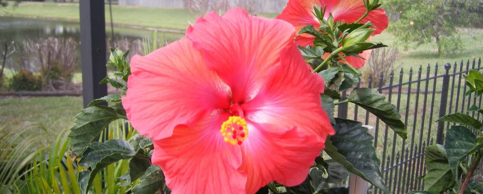 
            Фотография Одессы