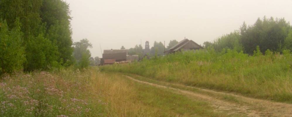 Фотография Карасей