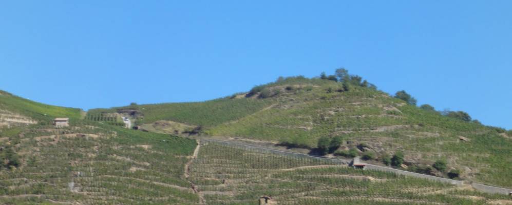 
            Фотография Ампюи