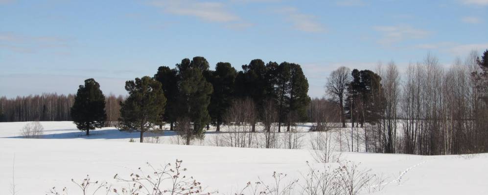 Фотография Малых Зыкиных