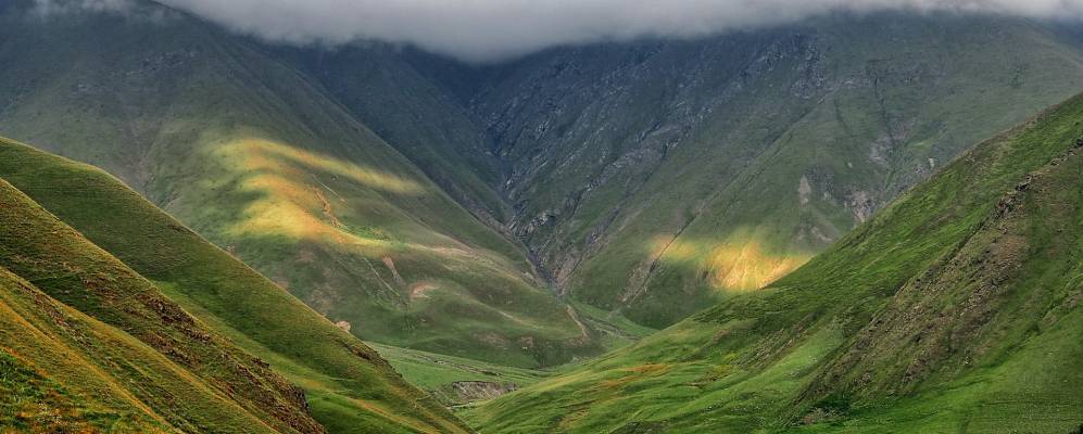 
            Фотография Кардиба