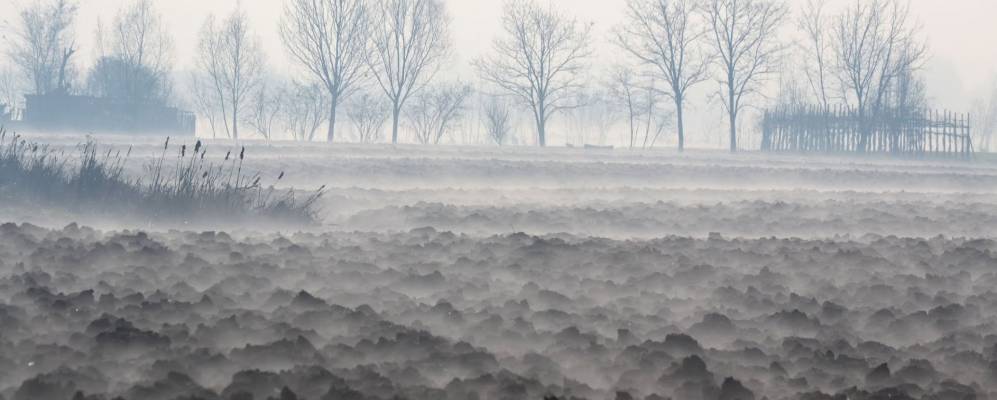 
            Фотография Самбрусона