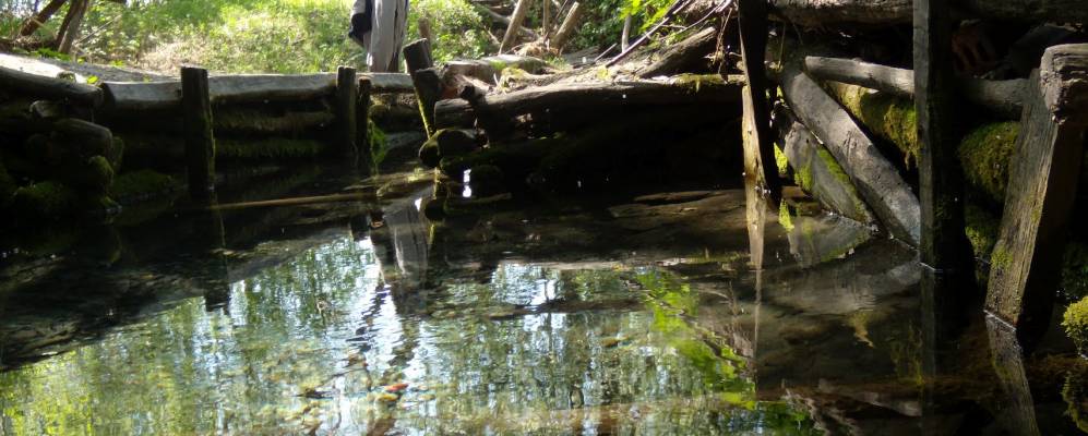 
            Фотография Строкино