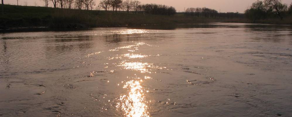 
            Фотография Черненково