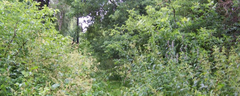 
            Фотография Гринёвочки