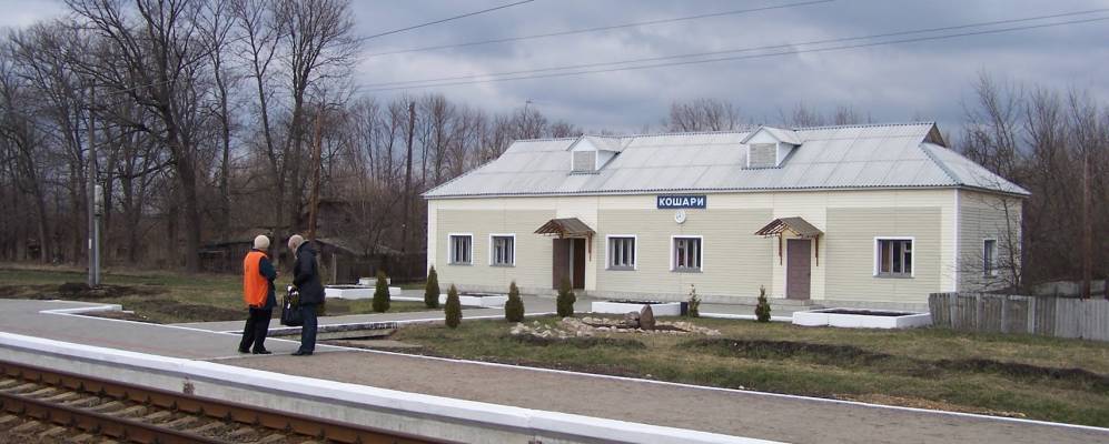 
            Фотография Нового Мира