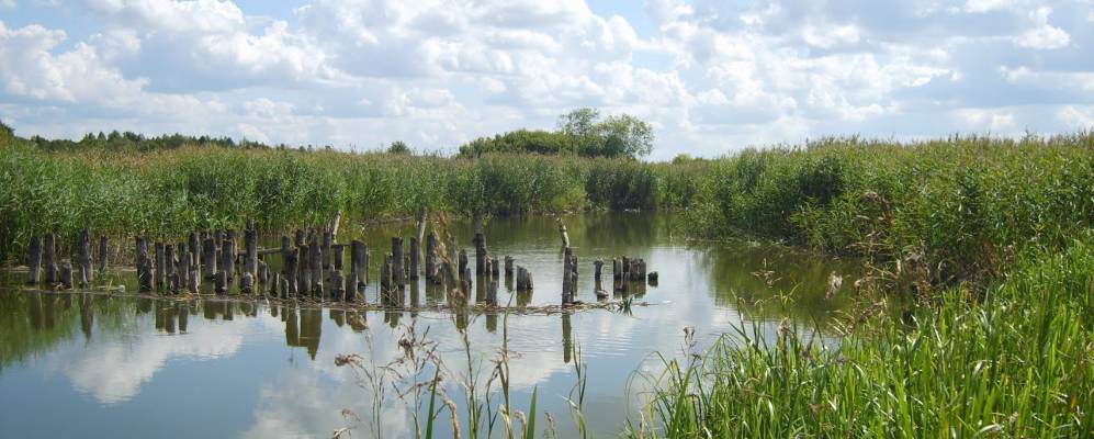 
            Фотография деревни Шалогиры