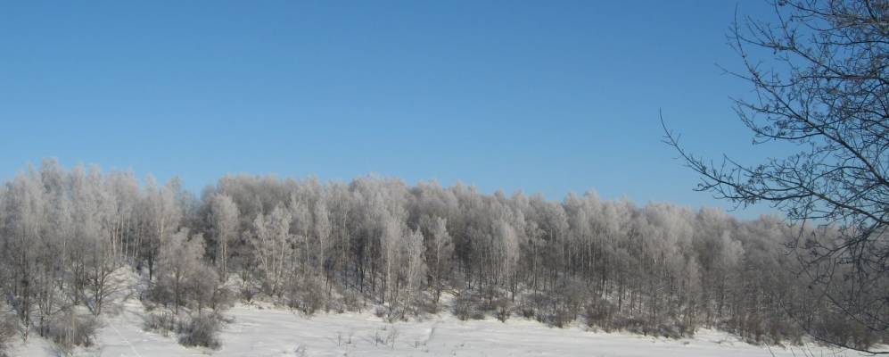 
            Фотография Стрелечьей Поляны