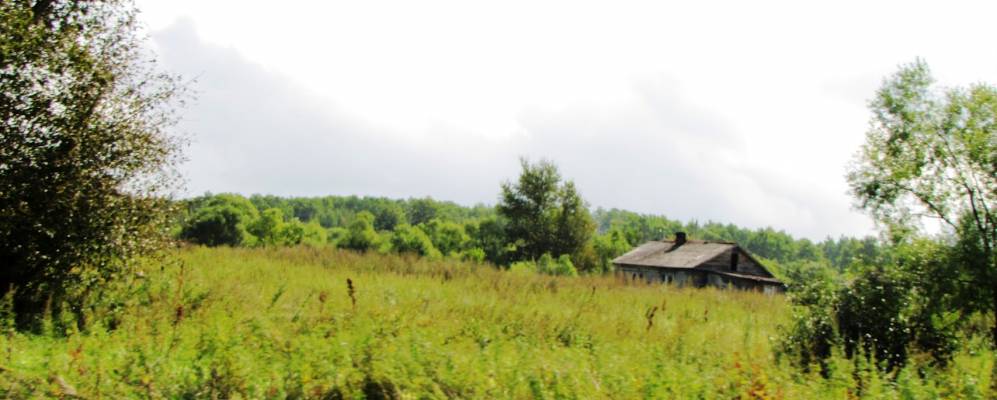 
            Фотография Опытного Поля