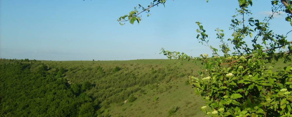 
            Фотография Стены