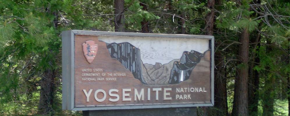 
            Фотография Yosemite Forks