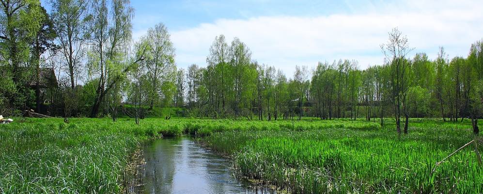 Населенном пункте ивановское. Населенном пункте ивановское. Деревни ильинский район ивановская область. Населенном пункте ивановское. Деревня глушицы южский район.