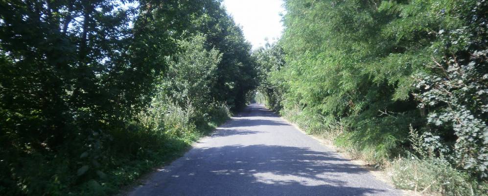 
            Фотография Дубинки