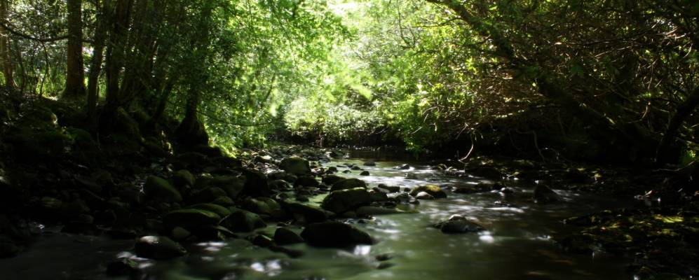 
            Фотография Турмакади