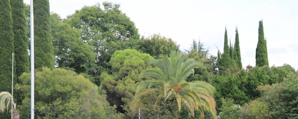 
            Фотография Сухума